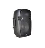 Tecshow BAM-10 Caja Activa 10″ 250w