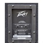 Peavey PV2015 Caja Concert Pasiva 2x15" - Imagen 3