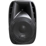 Coxx 12P Caja Pasiva 12″ 300 Watts RMS