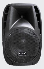 Coxx 12P Caja Pasiva 12″ 300 Watts RMS - Imagen 2